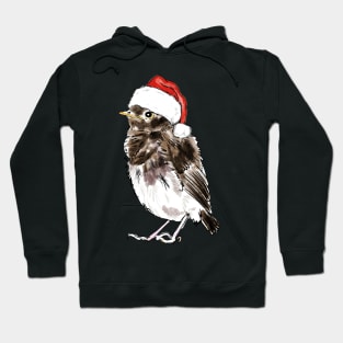 Christmas Robin Hoodie